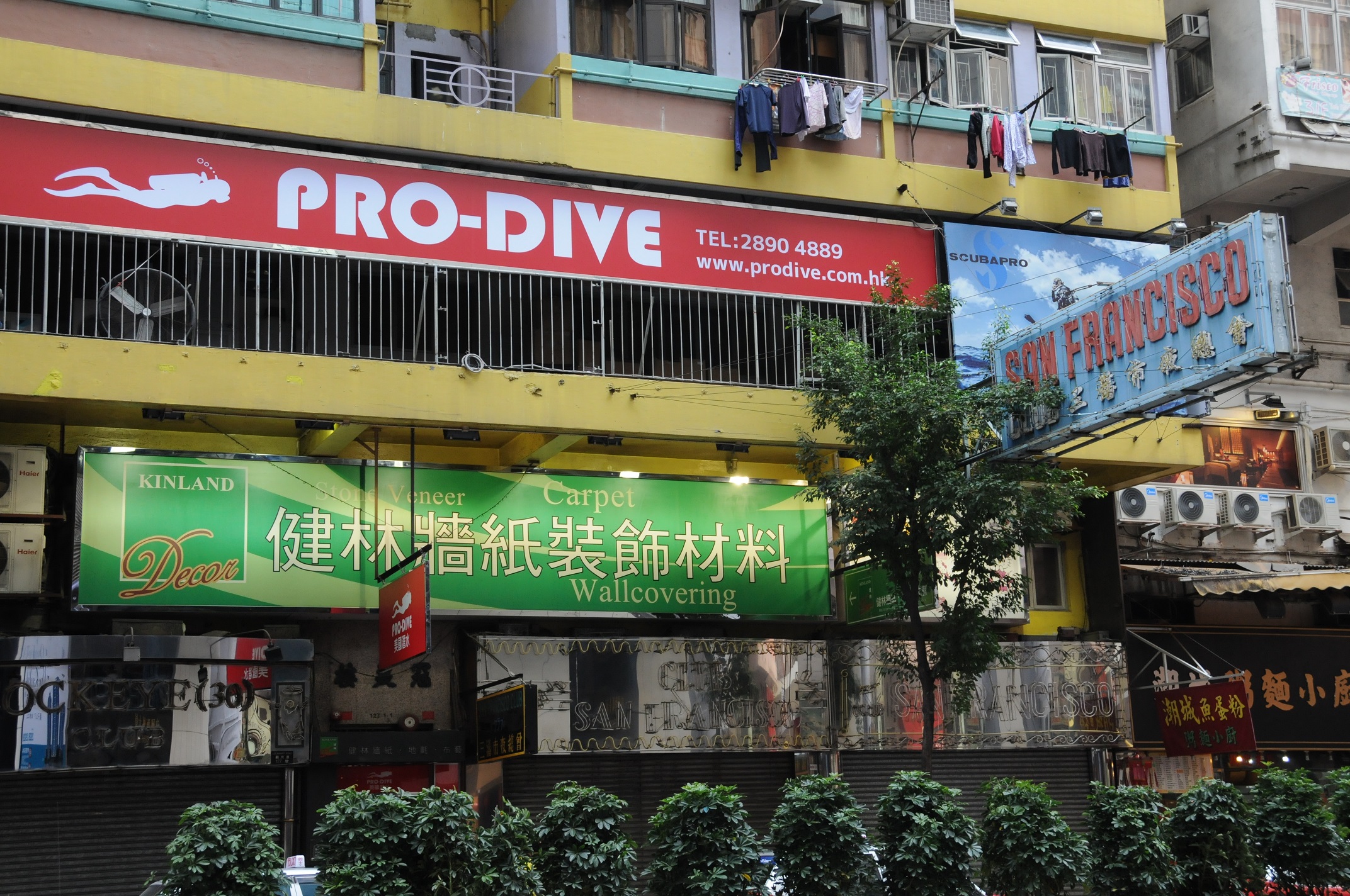 PRODIVE Shop Location & Direction PRODIVE — Diving & Snorkeling